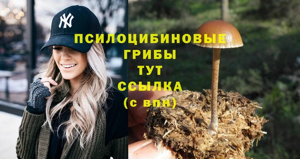 альфа пвп Липки